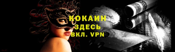 хмурый Тайга