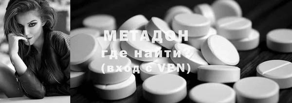 хмурый Тайга